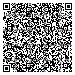 vCard 79379400267