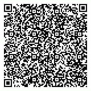 vCard 79379400281