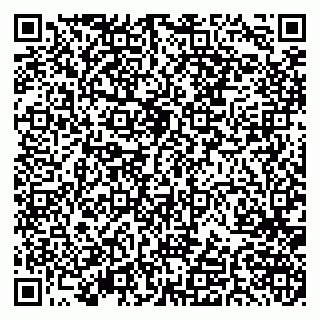 vCard 79379400294