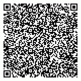 vCard 79379400297