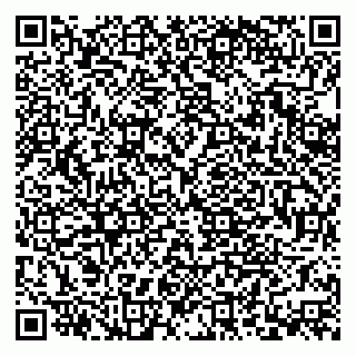 vCard 79379400298