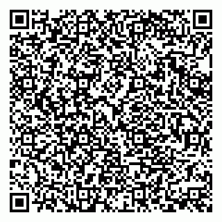 vCard 79379400299