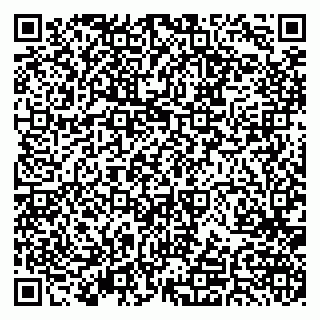 vCard 79379400300