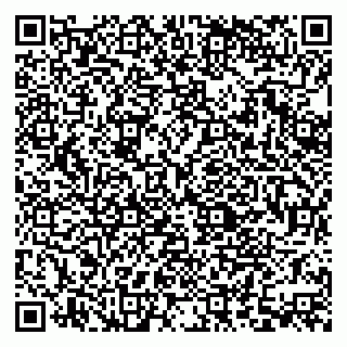 vCard 79379400304