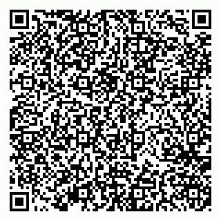 vCard 79379400307