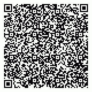 vCard 79379400313