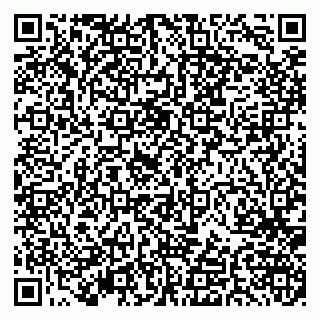 vCard 79379400314