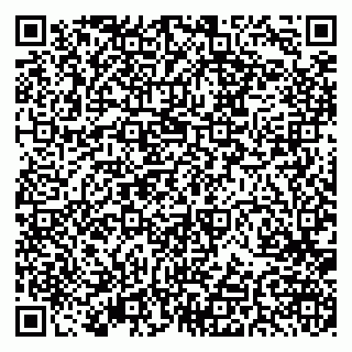 vCard 79379400315