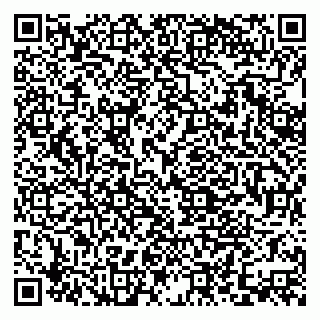 vCard 79379400317