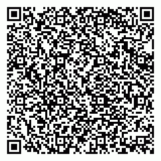 vCard 79379400318