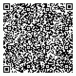 vCard 79379400319