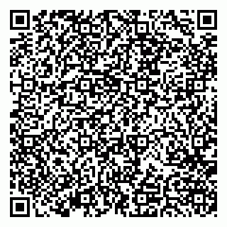 vCard 79379400320