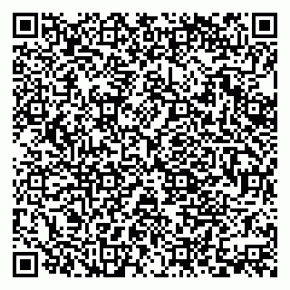 vCard 79379400321