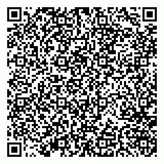 vCard 79379400322