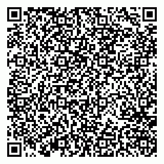 vCard 79379400323