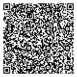 vCard 79379400331