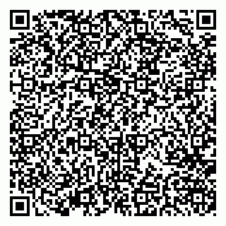 vCard 79379400333