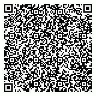vCard 79379400337