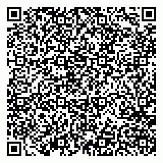 vCard 79379400339