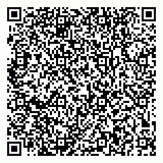 vCard 79379400371