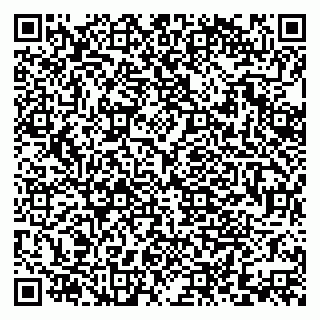 vCard 79379400373