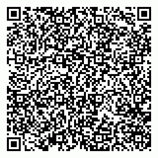 vCard 79379400382