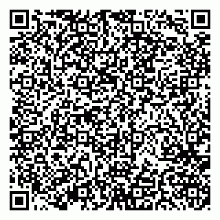 vCard 79379400384