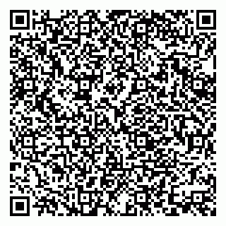 vCard 79379400387