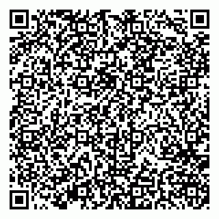 vCard 79379400393