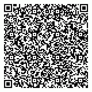 vCard 79379400399