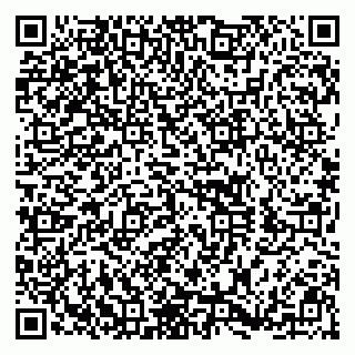 vCard 79390000011
