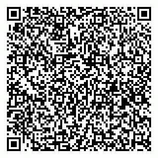 vCard 79390000033