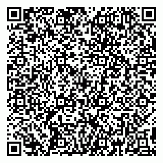 vCard 79390000065