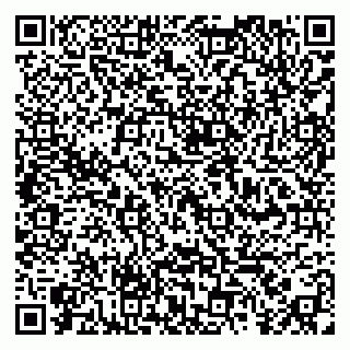 vCard 79390000087