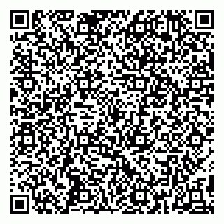 vCard 79390000101