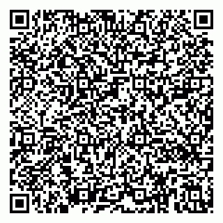 vCard 79390000105