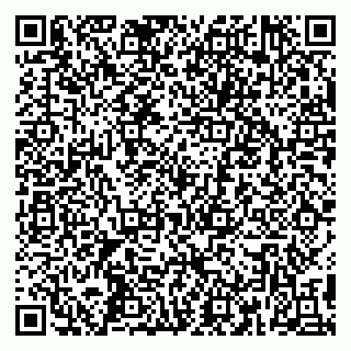 vCard 79390000113