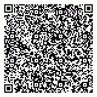 vCard 79390000153
