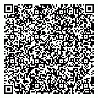 vCard 79390000161