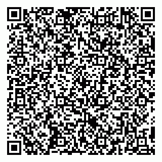 vCard 79390000203