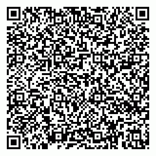 vCard 79390000209