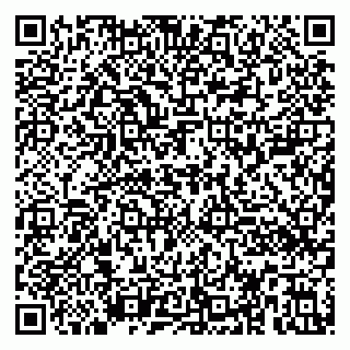 vCard 79390000233