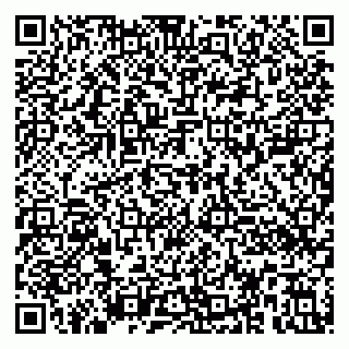 vCard 79390000272