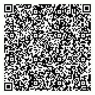 vCard 79390000293