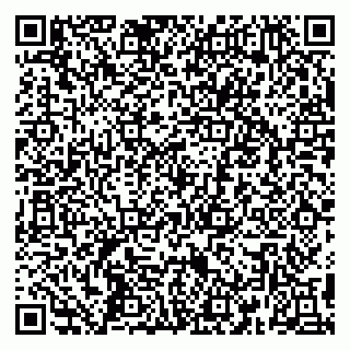 vCard 79390000294