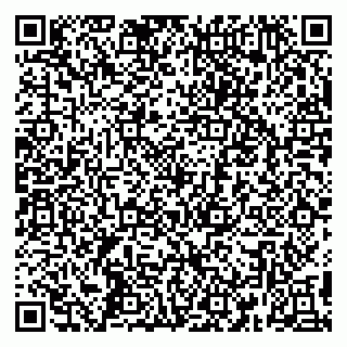 vCard 79390000295