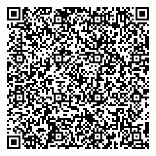 vCard 79390000297