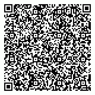 vCard 79390000300