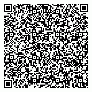 vCard 79390000301
