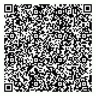 vCard 79390000305